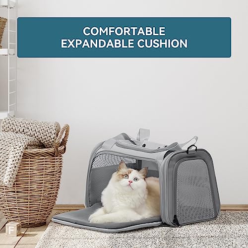 PETSFIT Cat Carrier, Grey, Small and Medium Cats Under 12 Lbs | Airline Approved, Soft Carrier, Soft Cat Travel Bag, Kitten Carrier with Extendable Mat - color: Grey, size: Medium