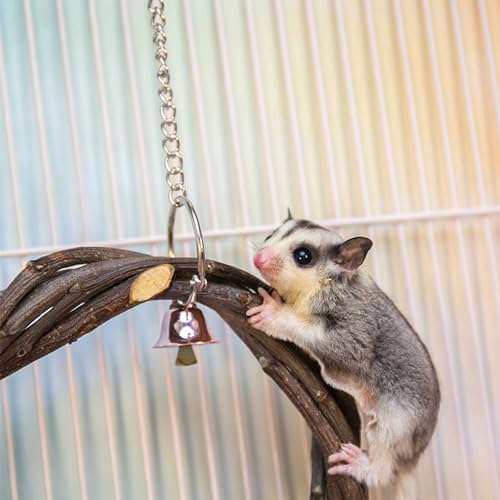 FLAdorepet 5Pcs Wood Sugar Glider Cage Accessories Small Pet Climb Chew Toy | Included Swing Ladder and 3 Platforms;Natural Apple Wood;Easy Cage Installation,Chewing Climbing Toys for Sugar Gliders Bird