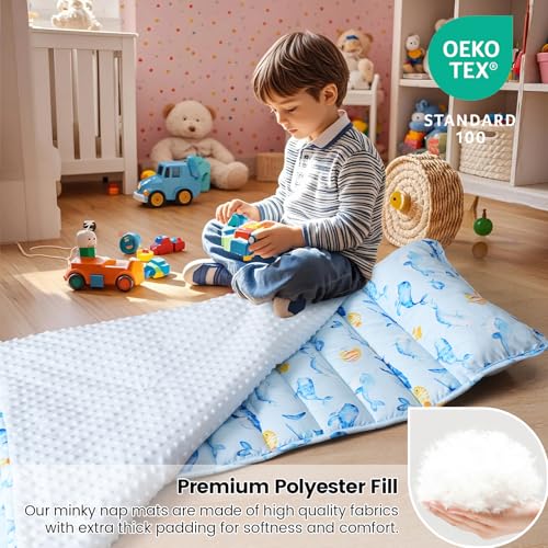 david's kids Toddler Nap Mat with Removable Pillow and Minky Fleece Blanket, Ultra Soft Slumber Bags for Boys, Perfect for Preschool, Daycare, Kids Sleeping Bags with Rollup Design, 50"x20", Whale - color: Whale