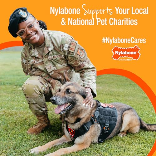 Nylabone Power Chew Classic Bone Chew Toy for Dogs, Durable Dog Toys for Aggressive Chewers, Peanut Butter Flavor, Large/Giant - Up to 50 lbs. (1 Count) - size: Large