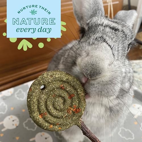 Oxbow Timothy Hay Lollipop, Rabbit & Guinea Pig Chew Toy, Apple Flavor | Oxbow Enriched Life, Rabbit Chew Toys, Timothy Hay, Guinea Pig Enrichment, Guinea Pig Chew Toys, Rabbit Enrichment - size: 0.96 Ounce (Pack of 1)