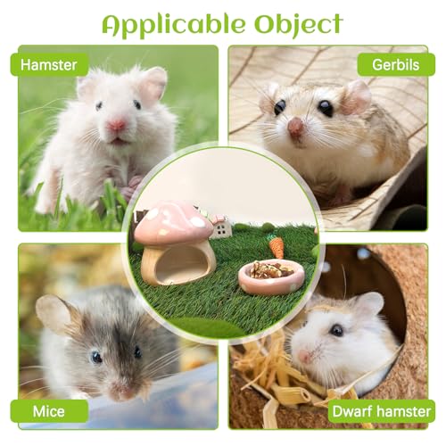 BNOSDM Ceramic Hamster Hideout Cute Mushroom Shape Hamster House and Habitat Cool Hamsters Hide Suitable for Syrian, Mice, Dwarf Hamsters, Gerbils (Pink) - color: Pink Hideout Solo
