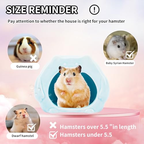 Bear-Shaped Hamster Hideout & Food Bowl Set - Ceramic Habitat for Syrian Dwarf Hamsters, Mice, Gerbils - All-Season Use, Chew-Proof Ceramic House and Feeding Dish for Small Pets(Blue)