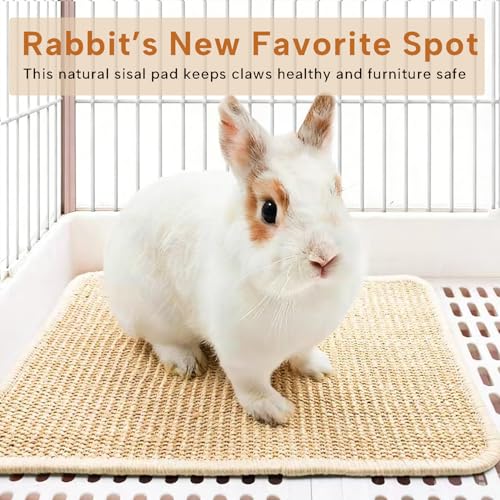 KEYIDE 2Pc Bunny Scratch Pads, Natural Sisal Rabbit Scratching Mat for Nails, Chew Toys for Indoor Pet Guinea Pigs Chinchillas Ferrets Sleeping Playing, 16"X12"
