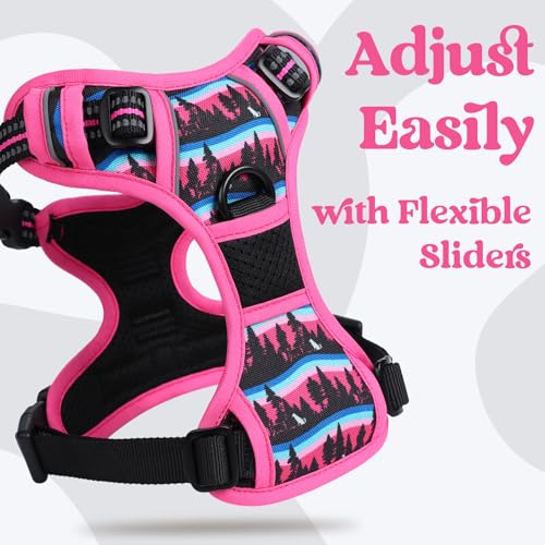 rabbitgoo Dog Harness Small Sized, Updated Easy On & Off with 3 Buckles | No Pull No Choke, Walking with 2 Clips and Handle, Adjustable Soft Reflective, Mountain Rose, Small - color: Mountain Rose, size: Small
