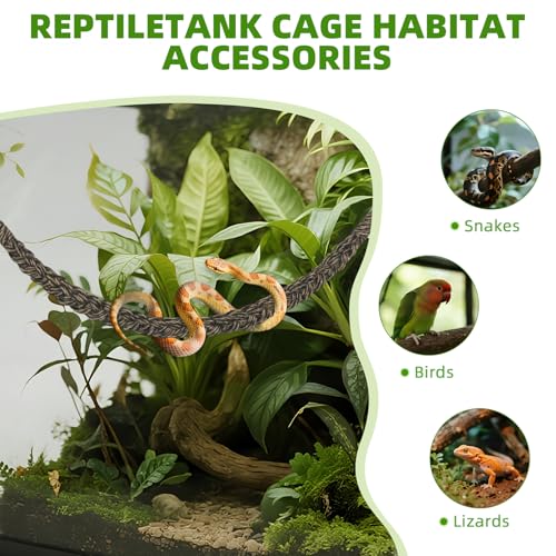 Snake Climbing Rope,Snakes Ladders Toys, Snake Enrichment Supplies, Small Reptile Tank Accessories, Reptile Climbing Toys for Ball Python Corn Hermit Crab Lizards Geckos (Black) - color: Black