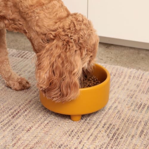 Waggo Uplift Ceramic Dog Bowl for Small Medium and Large Breeds - Heavyweight and Durable Pet Food and Water Dish Crock, Dishwasher Safe, Modern, Elevated Feeder (Olive, Small) - color: Olive, size: Small
