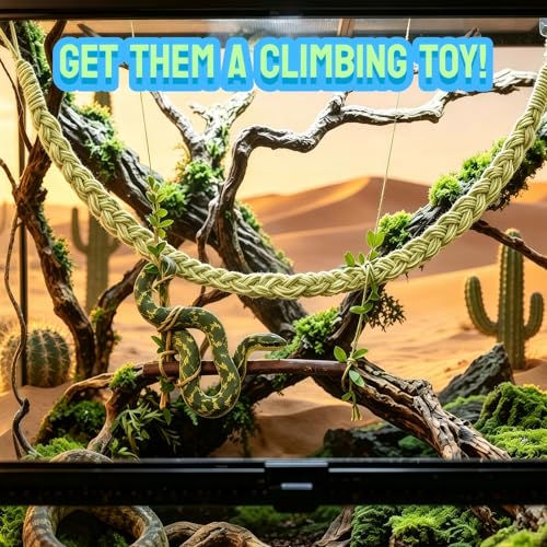 Snake Climbing Rope, Snake Enrichment Supplies, Lizard Climbing Toys, Small Reptile Climbing Toy, Snakes Ladders Toys, Reptile Tank Accessories, Snakes Tank Decoration for Ball Python rab Lizards