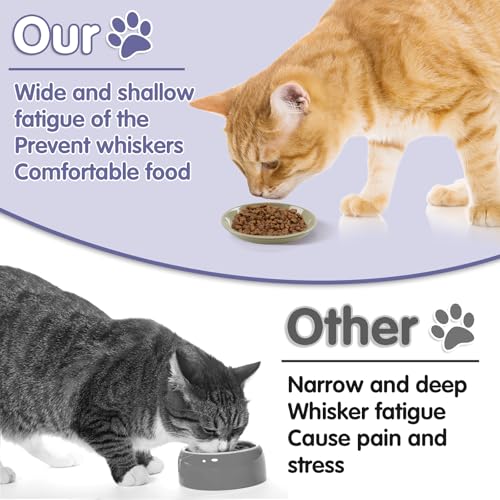 6 Pack Cat Food Bowl, Ceramic Cat Bowls, Anti Whisker Fatigue Cats Bowl Set | 5.5 Inches Shallow Wide Kitten Plates for Food and Water (CaiSe-B) - color: CaiSe-B