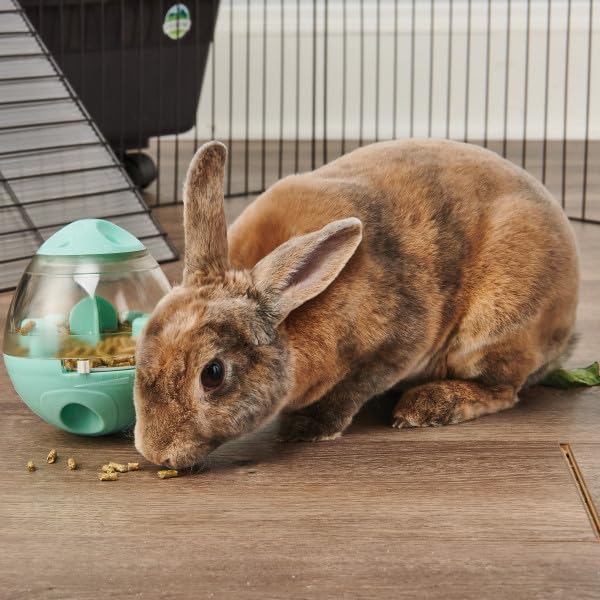 Oxbow Enriched Life Wobble Teaser Toy for Rabbits, Guinea Pigs, Hamsters, Rats - style: Wobble teaser