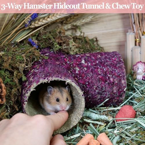 Hamster Hideout Tunnel Natural Hay & Dried Flower Paper Tube Maze Burrowing Habitat Decor for Dwarf Hamsters Gerbils Mice Syrian Hamsters (Rose Flower)