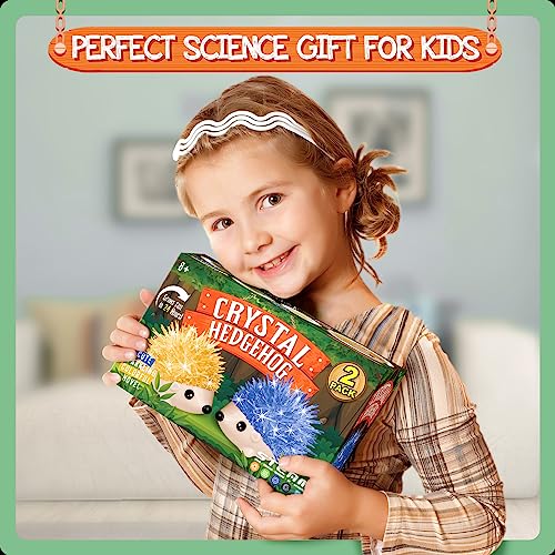 Crystal Growing Kit - 2 Vibrant Hedgehogs Fast 24H, STEM Gift for Kids 6-12 | Grow 2 crystal hedgehogs in 24H. STEM science kit, educational DIY toy. Great birthday gift for boys & girls ages 7-10+ - color: 2 Hedgehog Crystal