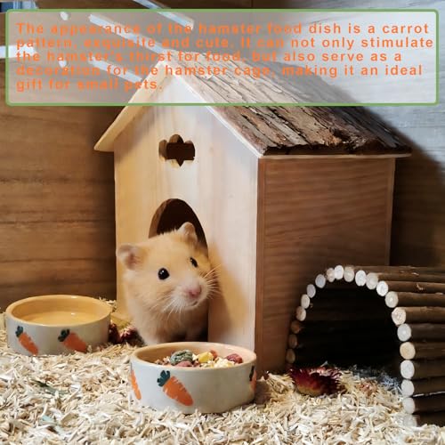kathson 2 Pcs Hamtser Food Bowl, Guinea Pig Food Bowls, Ceramic Pet Bowl Small Animals Anti-Turning Water Bowls for Bunny Chinchilla Rat Hedgehog (S) - size: S
