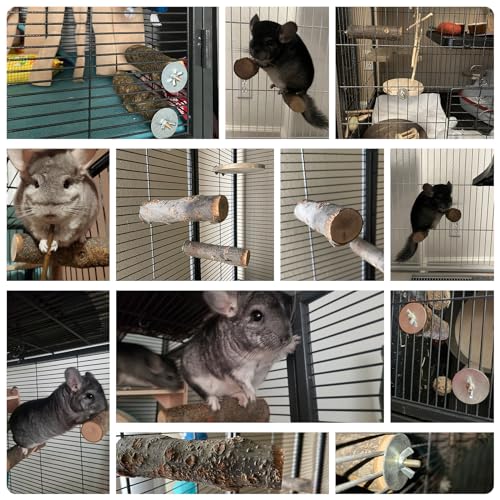 QBLEEV 3 PCS Hamster Chew Toys for Teeth, Chinchilla Cage Accessories Supplies, Guinea Pigs Natural Wood Chews Sticks for Rat Squirrels, Rabbits Perch Toys Birds Standing Platform for Parrot Bunny | Guinea pigs natural wood chews sticks for rat squirrels,