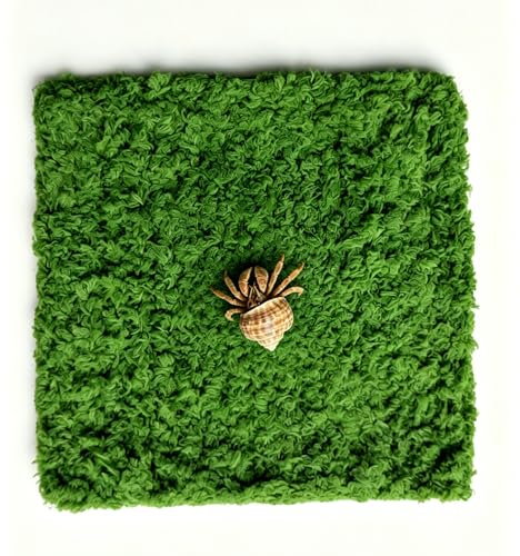 Hermit Crab Climbing Wall Climbing Toys Hand-Woven Coral Fleece Moisturizing Ladder for Hermit Crab Tank Small Animal Cage Accessories