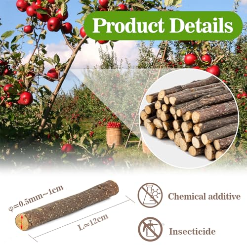 Sukh Natural Organic Apple Sticks - 250g Chew Sticks for Small Animals | Chew Toys for Hamsters, Rabbits, Guinea Pigs, Gerbils, Chinchillas & Squirrels, Teeth Grinding Supplies, Cage Accessories - size: 250g
