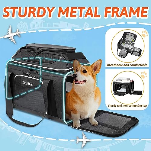 Top-Expandable Small Pet Carrier 18"x13"x9.5" Airline Approved | for Southwest Airlines, Lockable Safety Zippers and Anti-Scratch Mesh, Soft-Sided, Pets Under 10 Lbs, Black - color: Black, size: 18.0"L x 13.0"W x 9.5"H