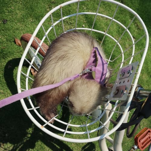 Bearded Dragon Harness and Leash Set - Soft Fleece Dinosaur Vest with Safe Bell Adjustable Lizard Traction Rope Escape Proof Outdoor Walking Training Leash for Ferret Rat Kitten Puppy (Purple) - color: Purple