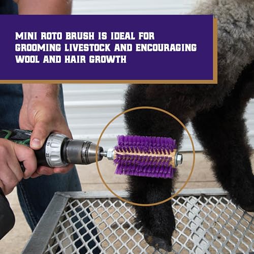 Weaver Leather Mini Roto Brush for Livestock, Wool/Hair Stimulating and Grooming Brush for Goat Sheep Cattle, Use with Drill, Coat Deshedding Tool