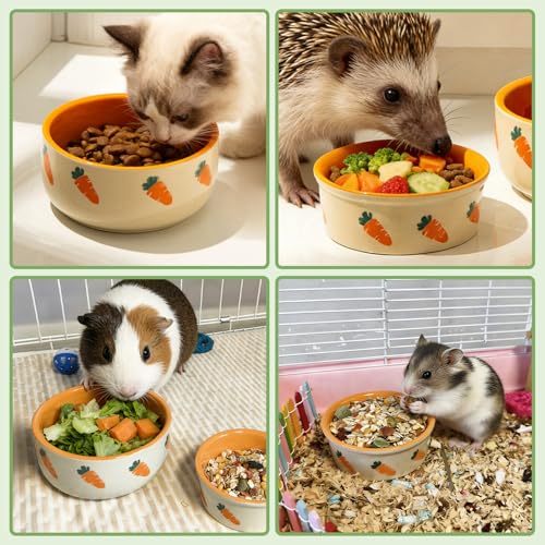 kathson 2 Pcs Hamtser Food Bowl, Guinea Pig Food Bowls, Ceramic Pet Bowl Small Animals Anti-Turning Water Bowls for Bunny Chinchilla Rat Hedgehog - size: XL