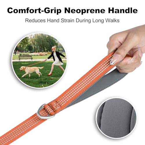 Plutus Pet Heavy Duty Dog Leash with Lockable Aluminum Carabiner, 6 FT Long | Double-Sided Reflective Nylon, Padded Handle, Heavy Duty, for Puppy Small Medium and Large Dogs (Orange, 1" x 6') - color: Orange, size: 1" x 6'