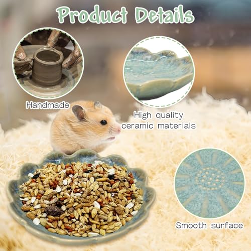BNOSDM Shallow Ceramic Hamster Food Dish 2 Pcs Small Animals Food Bowl Sunflower Feeding Dishes for Gerbils Mice Rats 4.5in (Dark Green) - color: Dark Green