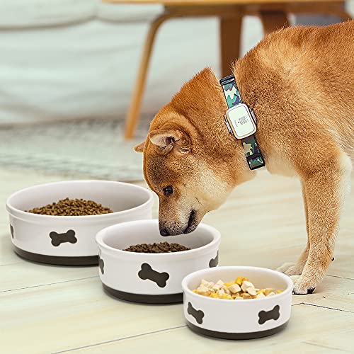 Sweejar Ceramic Dog Bowls with Bone Pattern, Dog Food Dish for Small Dogs, Porcelain Pet Bowl for Water 16 Fl Oz (Fog Blue) - color: Fog Blue, style: Bone Pattern,5.5"x 2.2"(16 Fl Oz)