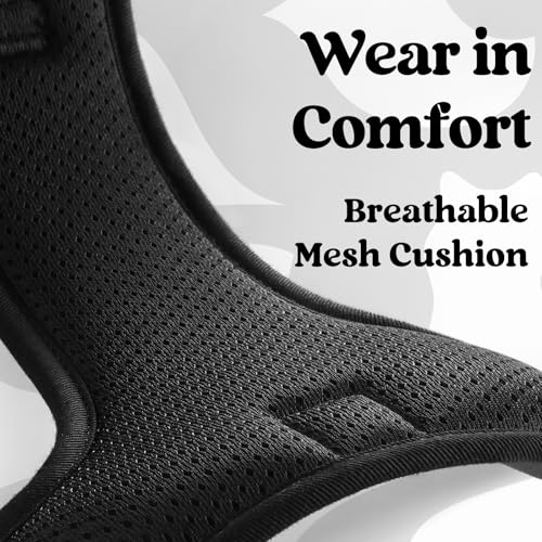 rabbitgoo Dog Harness Small Sized, Updated Easy On & Off with 3 Buckles | No Pull No Choke, Walking with 2 Clips and Handle, Adjustable Soft Reflective, Mountain Black, Small - color: Mountain Black, size: Small