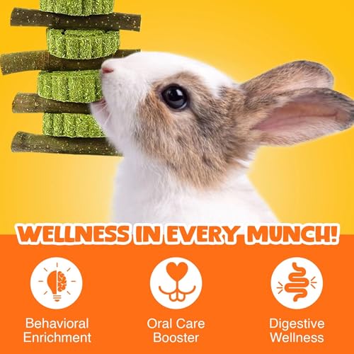 Vila Rabbit Chew Stick, Hanging Treat, Apple Chew Sticks with Round Grass Cakes, Oral Care and Gums, Suitable for Rabbits, Chinchillas, Guinea Pigs and Parrots, 1-Piece