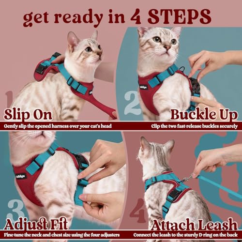 rabbitgoo Cat Harness and Leash Set, Escape Proof Vest, Red & Teal | Soft Breathable Mesh, Easy Adjustable Fit, Snap Buckles, Sturdy Clip, Reflective Strips, for Kittens & Small Cats Walks, Xxs - color: Red & Teal, size: Xxs
