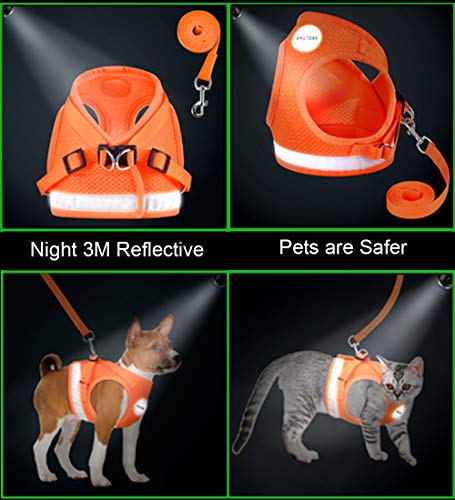Cat Harnesses and Puppy Harness with Leashes Set, Escape Proof Cat Harness, Adjustable Reflective Soft Mesh Vest Fit Puppy Kitten Rabbit Ferrets's Outdoor Harness - color: Orange, size: XS (Chest: 6" - 8")