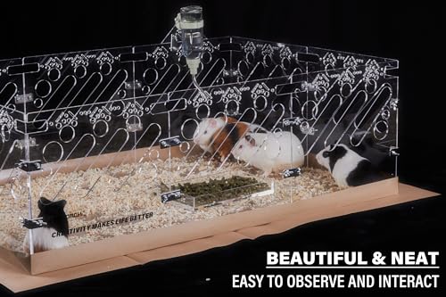 Acrylic Guinea Pig Cages - 3x2ft Small Animal Cage | DIY Extendable | Easy-to-Clean Disposable Bottom (Without Lid) - color: 2x3 ft Cage