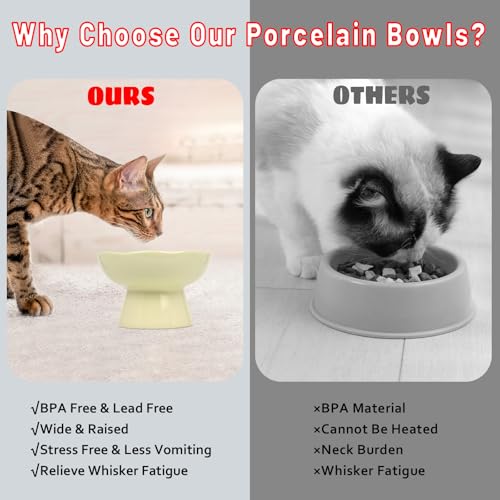 6.1" Wide 1.57" Deep Elevated Cat Bowls, Ceramic Water Bowls for Flat Faced Cats,Cat Feeder,Stress Free,Protect Cat’s Spine,Cream - color: Cream-Deep
