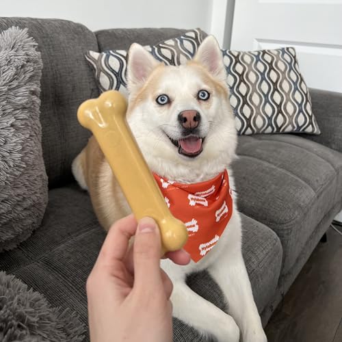 Nylabone Power Chew Classic Bone Chew Toy for Dogs, Durable Dog Toys for Aggressive Chewers, Peanut Butter Flavor, Medium/Wolf - Up to 35 lbs. (1 Count) | Durable chew toys, long lasting, flavor throughout, discourages destructive chewing, keeps dogs busy
