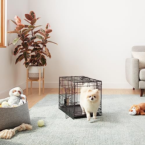 Amazon Basics Portable, Foldable Metal Wire Dog Crate with Removable Tray, Double Door, Divider Panel, Easy to Assemble, 22 x 13 x 16 in, Black - size: 22.0"L x 13.0"W x 16.0"H, style: Double Door w/ Divider