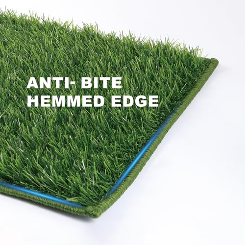 HQ4US 4LEGS Grass Pee Pads for Dogs Potty, Artificial Grass Patch Odor Free | 2PCS Fake Grass with Fully Permeable Backing for Fast Drainage, Indoor Potty Grass Hemmed Edge Turf, Easy Clean - size: M - 30'' x 20'' for Dog＜ 26" Length