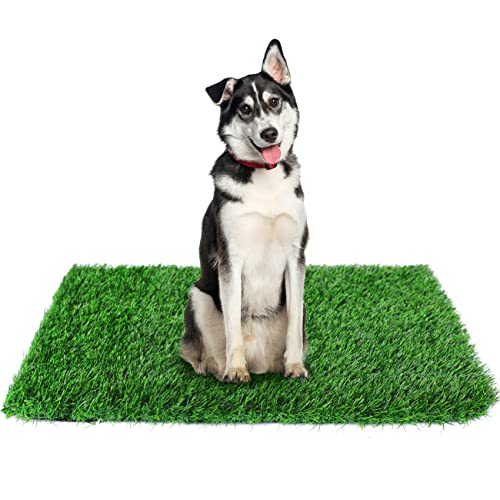 GLOBREEN 34" x 23" Fake Grass Pee Pad for Dogs Potty Training Turf Pets Mat - Indoor Outdoor Use - size: 23x34 Inch