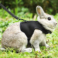 PETTOM Bunny Rabbit Harness with Stretchy Leash Cute Adjustable Buckle Breathable Mesh Vest for Kitten Small Pets Walking (Black,L) - color: Black, size: L(Chest:10.6-13.3 in)