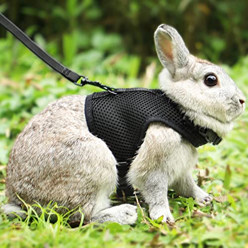 PETTOM Bunny Rabbit Harness with Stretchy Leash Cute Adjustable Buckle Breathable Mesh Vest for Kitten Small Pets Walking (Black,L) - color: Black, size: L(Chest:10.6-13.3 in)