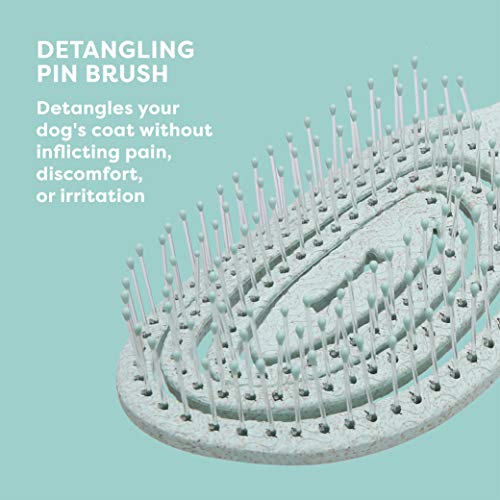 BioSilk for Pets Eco Friendly Detangling Pin Brush for Dogs, Gentle Dog Grooming Brush Designed to Help Remove Knots and Tangles and Support Healthy Coats for All Dogs | Gentle grooming brush removes knots and tangles, supports healthy coats for all dog b