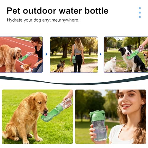 Amerisun Dog Water Bottle, 16.9 OZ Collapsible Leak-Proof Pet Water Bowl | Collapsible Water Bottle,Suitable for Dog, Cat, Puppy, Guinea Pig, Hamster & Bunny. Ideal for Walking, Hiking (A012B-Green) - color: A012B-Green
