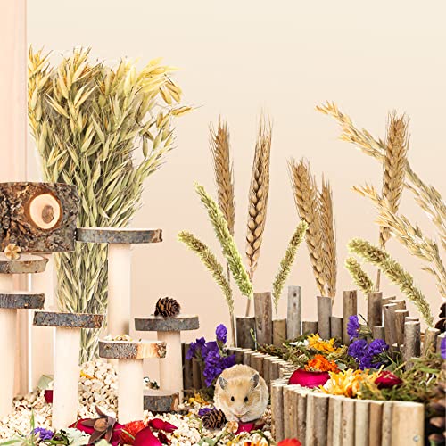 Natural Ear of Grain Flower&Herb Bedding Mate Habitat Decor, Adding Fun Hamster Accessories for Hamsters Gerbils Lemming - color: Wheat