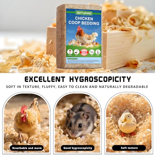 Pine Shavings | Wood Shavings | Chicken Coop Bedding | All Natural | Chicken Coop | Chickens Bedding | Pet Beddings | Small Animal Beddings | Odor Contro (6 LB) - size: 6 LB