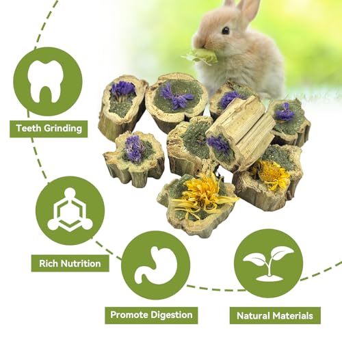 PINVNBY Natural Rabbit Chew Toys, Papaya Wood & Timothy Hay Molar Treats for Bunny Guinea Pig Hamster Chinchilla, Teeth Grinding Snack(3.5oz/100g)