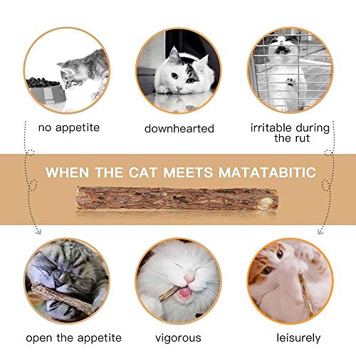 WoLover 20 PCS Matatabi Sticks, Silvervine Chew Toys for Cats | Natural Catnip Sticks, Cleaning Teeth Molar Chew Toy for Cat Kitten Kitty Dental Care - size: 20 PCS