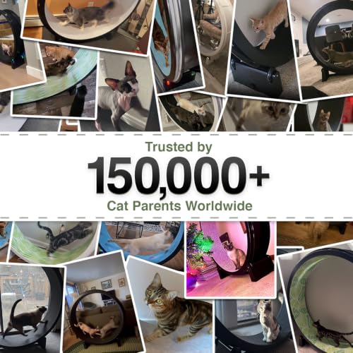 One Fast Cat - Cat Exercise Wheel - Made in the USA - 48" Diameter - Gen. 7 | Black with Gray Felt Traction Pads and Light-Up LED Inline Wheels - color: Black Wheel / Gray Felt / LED Inline