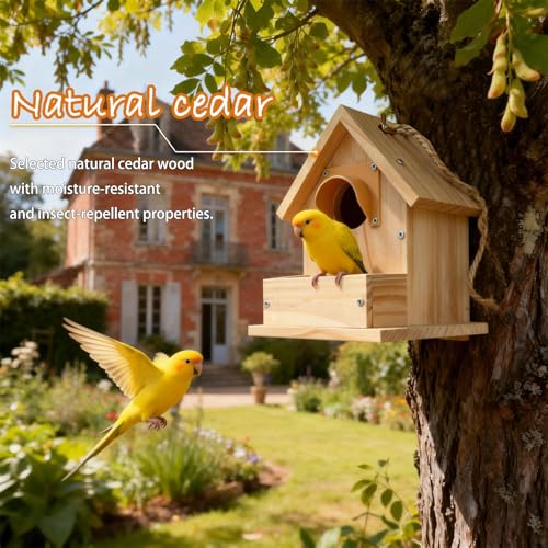 Bluebird Houses for Outside with Pole, Cedar Wooden Bird Houses to Paint for Finch Bluebird Cardinals, Hanging Birdhouses W/Rain Awning Kits for Outdoors (DIY Detachable, 2 Pack) - style: 2pcs Bird House