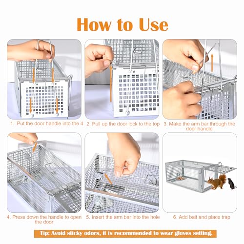 Humane Rat Trap, Chipmunk Rodent Trap that Work for Indoor and Outdoor Small Animal - Mouse Voles Hamsters Live Cage Catch and Release 1 Pack