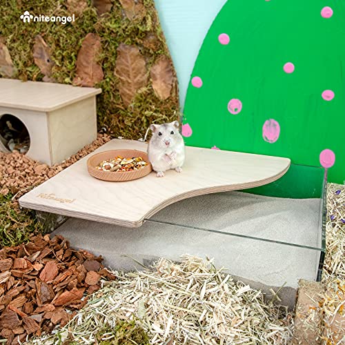 Niteangel Small Animal Sand-Bath Box: - Acrylic Critter's Sand Bath Shower Room & Digging Sand Container for Hamsters Mice Lemming Gerbils or Other Small Pets (Rectangle, Birch-Wood) | Acrylic Viewable Critter Sand Bath Shower Room & Digging Sand Containe