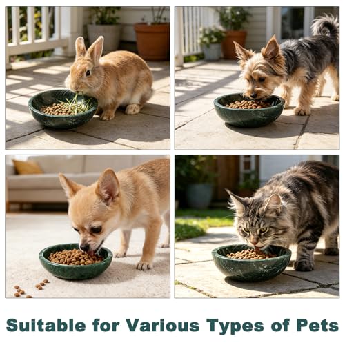 Natural Marble Cat Bowl, Weighted 1.5lb Cat Food Bowl for Cat and Small Dog, Small Animal Pet Food Dish Non-Slip, Shallow Dish for Whisker Fatigue Relief, Premium Green Stone for Home Decor - color: Green